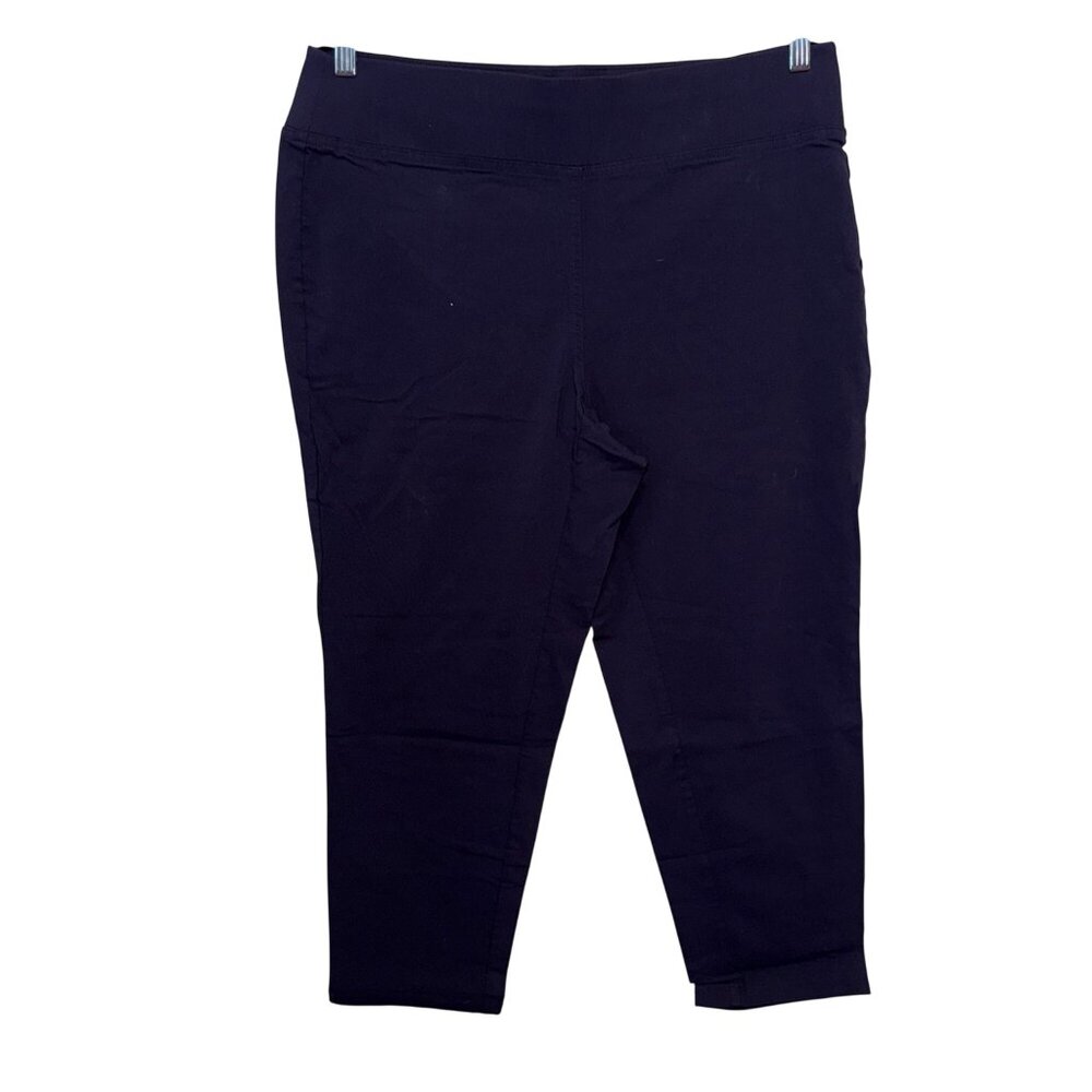 Ellen Tracy Womens Navy Blue Stretch Pants 1X Size Comfortable Fit Mid-Rise